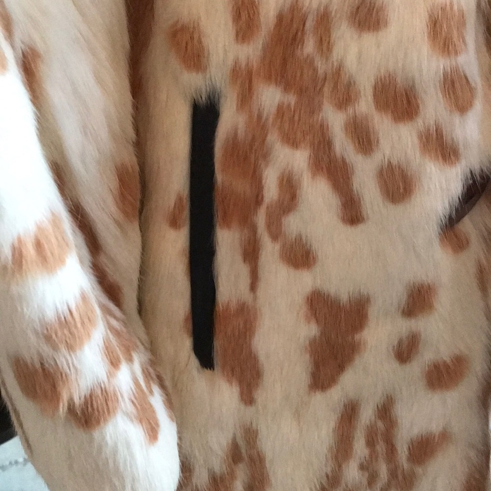 Orylag French Origin Rabbit Fur - Picture 4 of 8